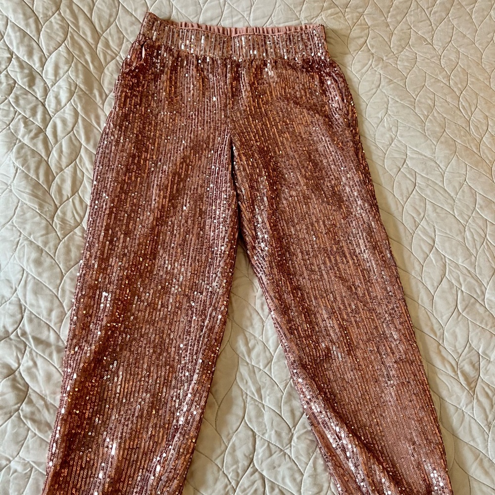 NWT Loft Sequin Jogger Pants XS